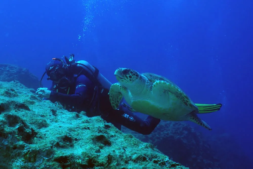 Scuba Diving in Kas